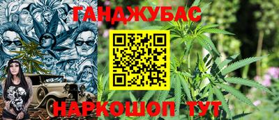 гидра Заволжье